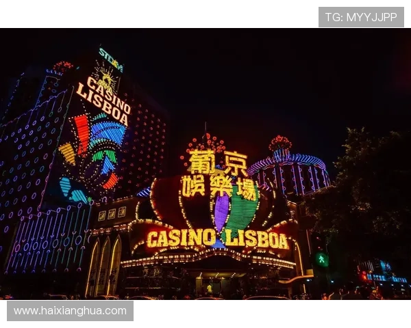 澳门娱乐场最新攻略，助你轻松掌握澳门最全娱乐资源与玩法指南